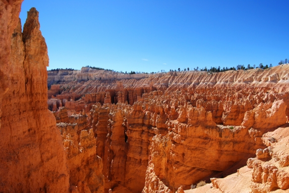 Navajo trail