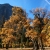 Yosemite valley