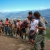 Concours de pansa