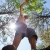 Slack line