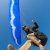 Niko sous la Shooka (Flying Planet)