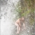 Rideau d'eau